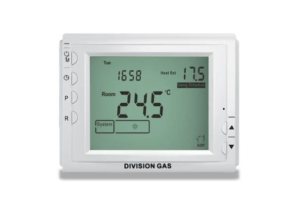 Termostat Homplex 909 programabil cu fir