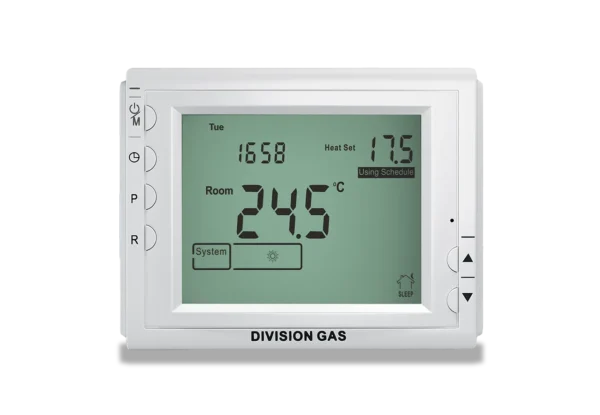Termostat programabil Homplex 909 RF